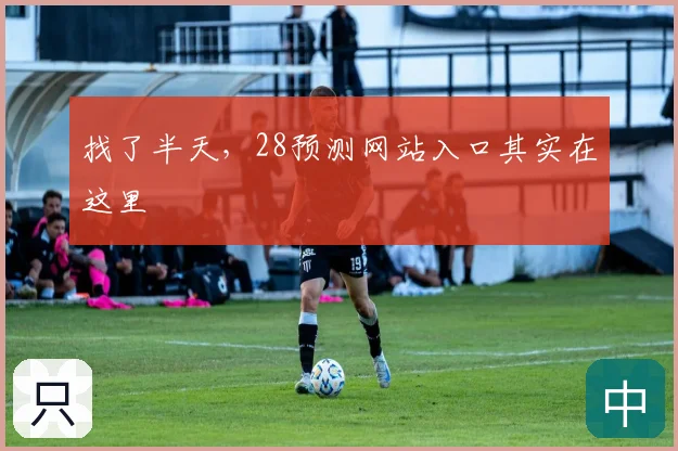 找了半天，28预测网站入口其实在这里